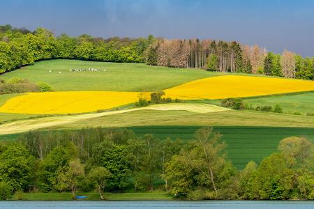 Seentour Hessen