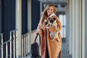 Neues Gesetz: Müssen Hunde draußen bleiben?