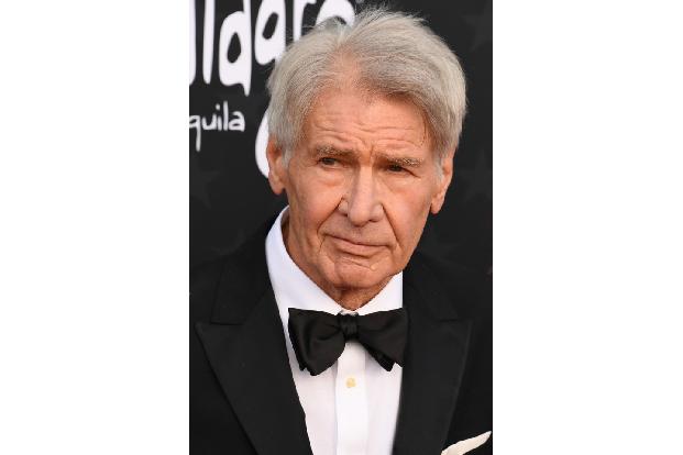 ... und Harrison Ford sind für tonnenweise CO2 verantwortlich. Doch wer das Hobby der beiden kennt, wird sich weniger wundern: Beide sind leidenschaftliche Piloten.