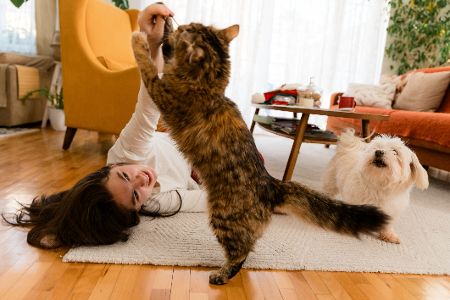 frau spielt mit katze