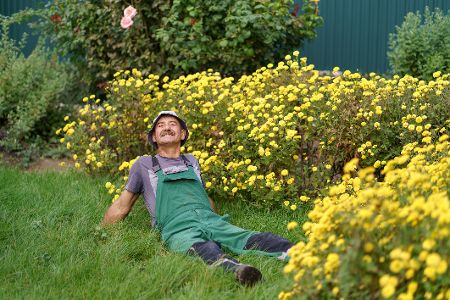 mann liegt im garten
