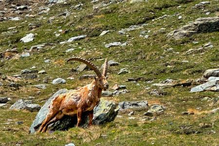 Italienische Alpen Aostatal 