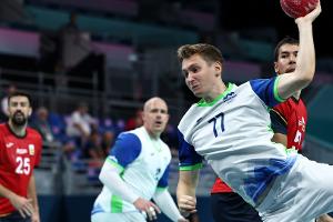 Handball: Flensburg holt Novak aus Wetzlar