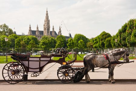 Fiaker vor der Stadtkulisse Wiens