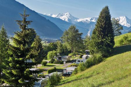 Tannen, Hang, Wiese, Caravans, Natur, Gebirge
