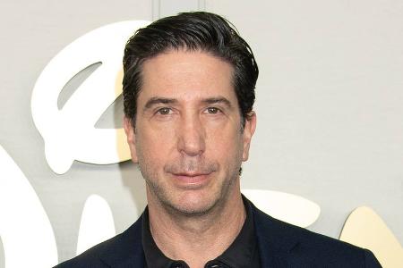 David Schwimmer lehnte David Schwimmer lehnte