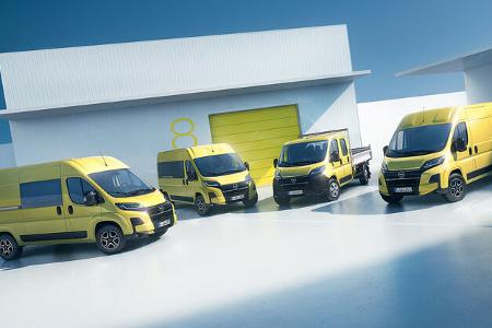 Opel Movano Transporter Nutzfahrzeug Palette