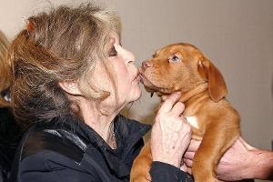 Brigitte Bardot wird 90: Ein tierisch engagiertes Sexsymbol