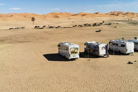 Marokko mit Wohnmobil und Kamel
