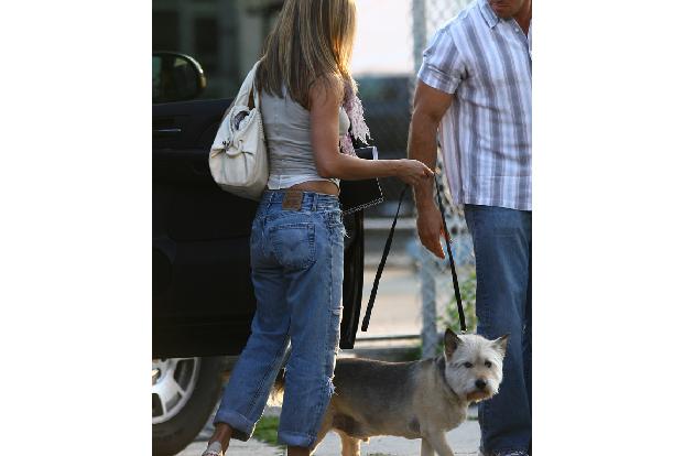 Jennifer Aniston wurde beim 'Friends'-Dreh zum Hunde-Fan, als sie Norman traf, der zum Jennifer Aniston wurde beim 'Friends'-Dreh zum Hunde-Fan, als sie Norman traf, der zum