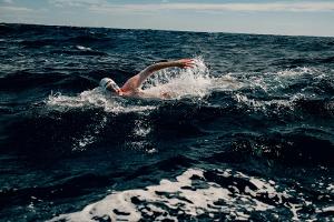 Extremsport: Waschburger schwimmt Weltrekord im Kaiwi-Kanal