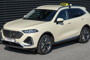 Chinesen stoßen in die Mercedes-Lücke