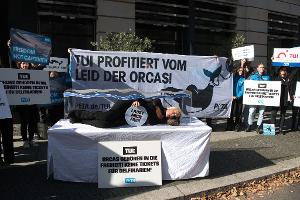 Sarah Connor und Peta protestieren gegen Haltung von Orcas