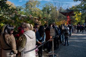 Panda-Babys: Zehntausende besuchen den Berliner Zoo