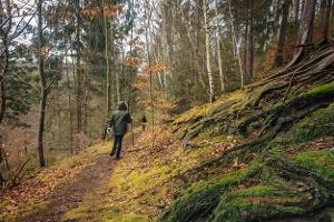 Die schönsten Herbst-Wanderungen in Deutschland
