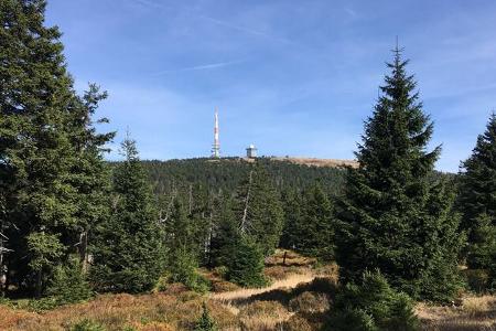 Reise in den Harz