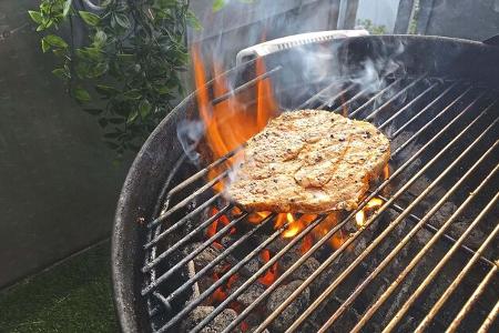 Gebläsegrills im Vergleich