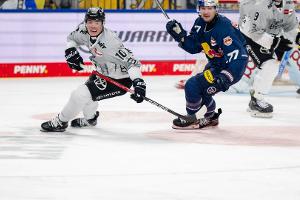 DEL: Schütz trifft zum Haie-Sieg gegen Ex-Klub