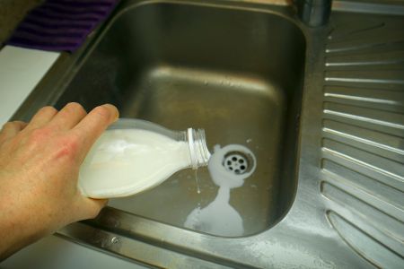 Milch wird in eine Spüle gekippt