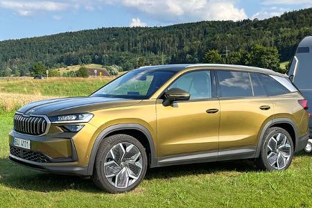 Skoda Kodiaq, Wiese, Wälder, Himmel 