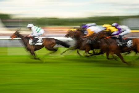 Mit Plänen für höhere Wettsteuern bringt die Pariser Regierung die Reitsportbranche gegen sich auf (Archivbild). Mit Plänen für höhere Wettsteuern bringt die Pariser Regierung die Reitsportbranche gegen sich auf (Archivbild).