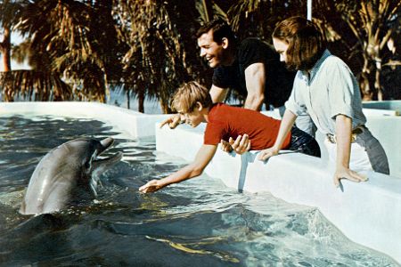 Mehrere Menschen stehen um ein Wasserbecken herum, aus dem ein Delfin herausschaut