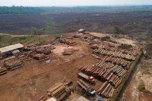 EU-Parlament stimmt für Verschiebung von Waldschutzgesetz
