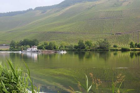 Stellplatz am Weingut Feiten