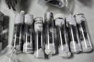 320 Spinnen unter dem Pulli: Schmuggler in Peru festgenommen