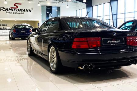 Elch in BMW-Werkstatt