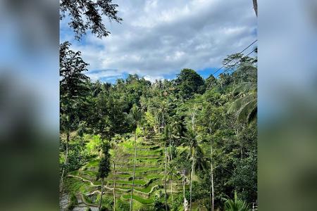 4-mal Bali