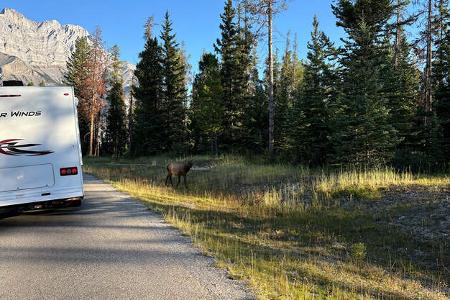 Westkanada Wohnmobilurlaub