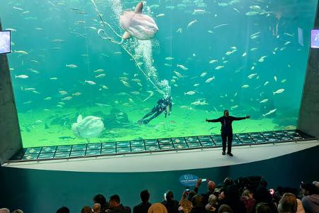 Nordjütland - Aquarium