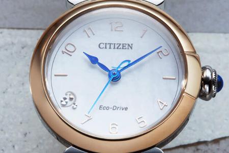 Adventskalender 2024 - 24 Citizen