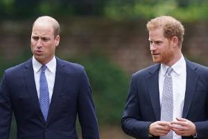 Prinz William und Prinz Harry: Getrennte Botschaften für Preisträger