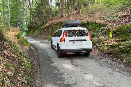 Dacia im Wald von hinten