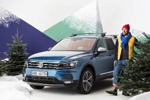So transportiert man den Weihnachtsbaum richtig