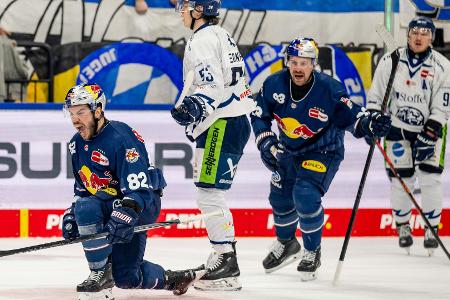 DEL: München feiert Derbysieg gegen Straubing DEL: München feiert Derbysieg gegen Straubing