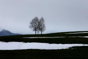 Schnee und Glätte im Bergland - sonst regnerisch