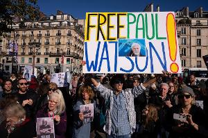 Walfanggegner Paul Watson wird nicht an Japan ausgeliefert