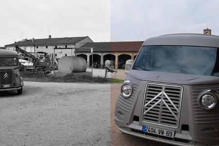 David Obendorfer Typ H 70th Anniversary Van