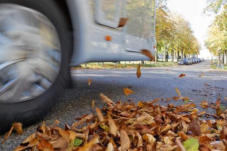 Nasse Blätter auf der Straße.