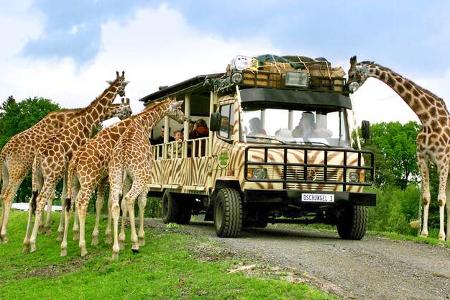 Reise-Tipps im Herbst