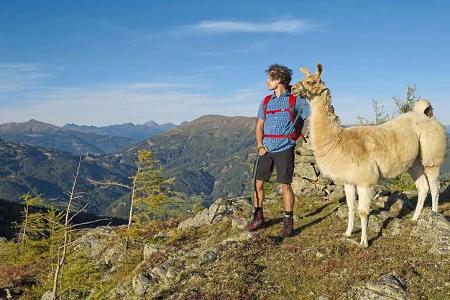 Katschberg mit Lama