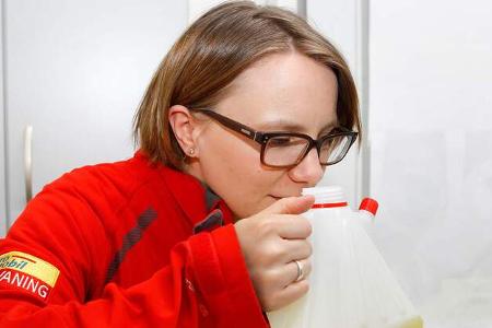 Scheibenreiniger im Test
