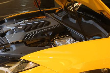ams0119, Lamborghini Urus, Exterieur