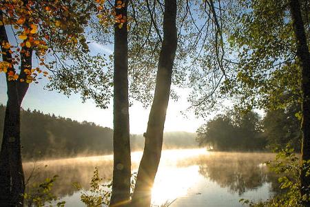 Camping Weichselbrunn Oberer Bayrischer Wald