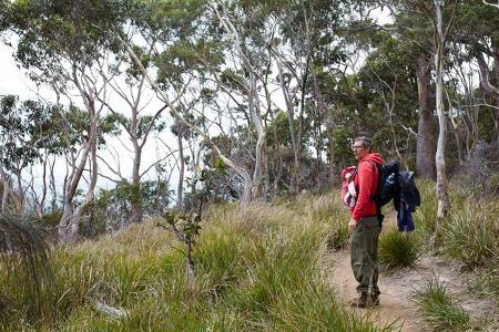 Bruny Island, Tasmanien