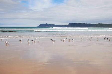 Bruny Island, Tasmanien
