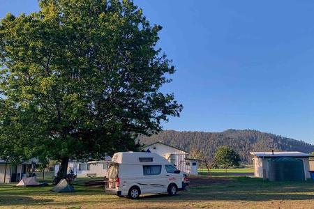 Columbia Falls Camp, Tasmanien